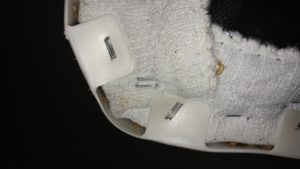 Prep bed bug Phoenix