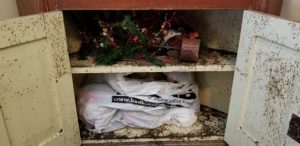 American-Giant-Roaches-attacked-cabinet!